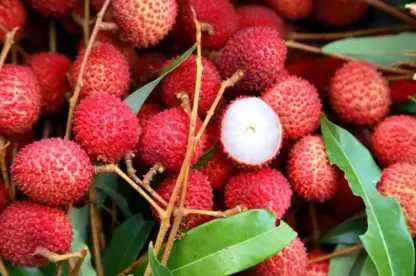 Fresh Litchi